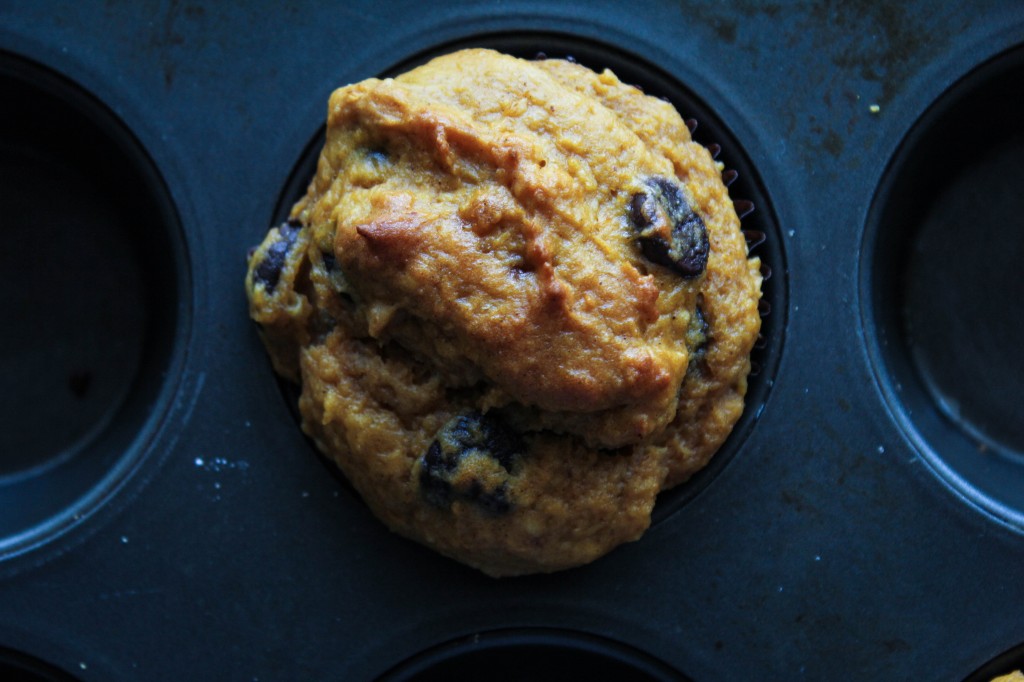 pumpkin choc chip above