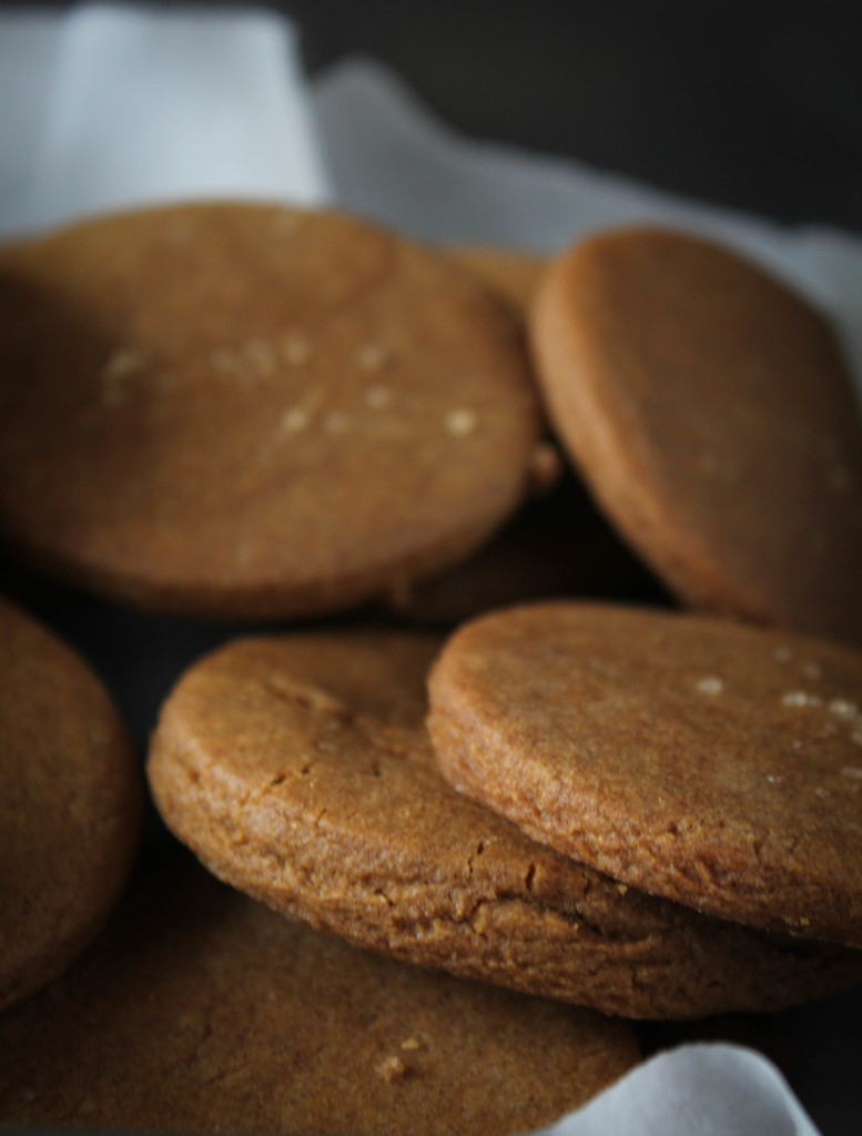 ginger cookies close up dark front**