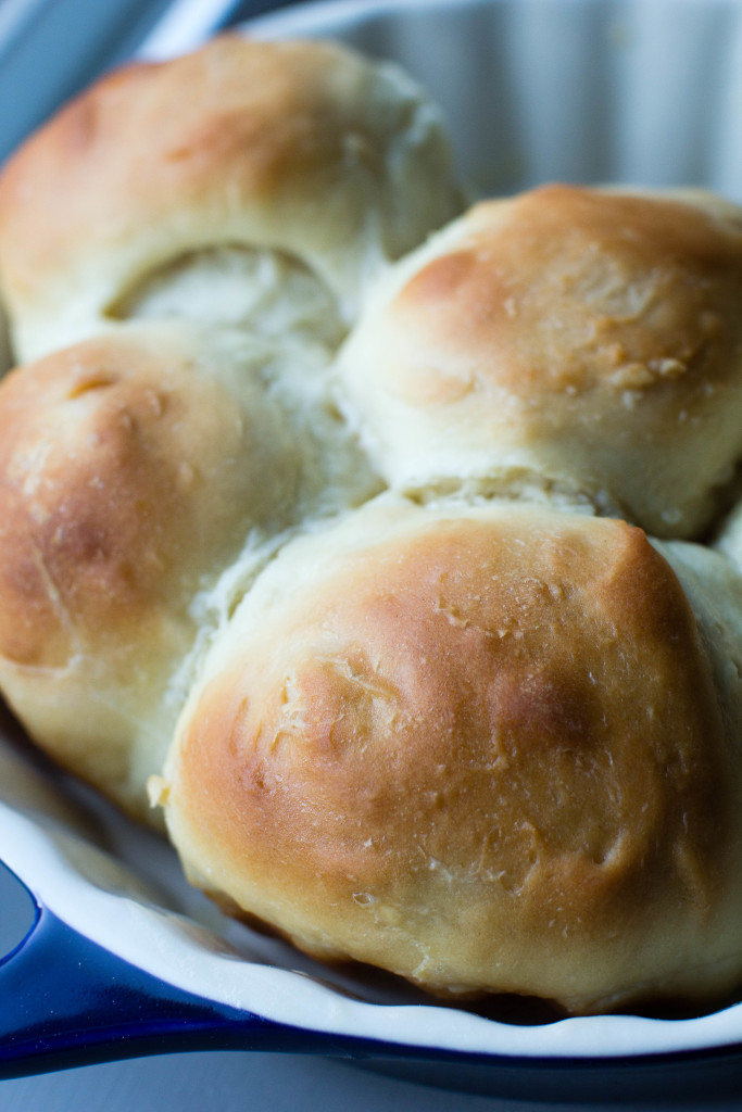honey yeast rolls  jpg