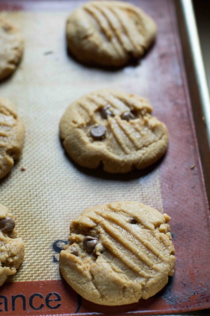 PB CC Cookie dough on sheet cooked -- bakesinslippers.com