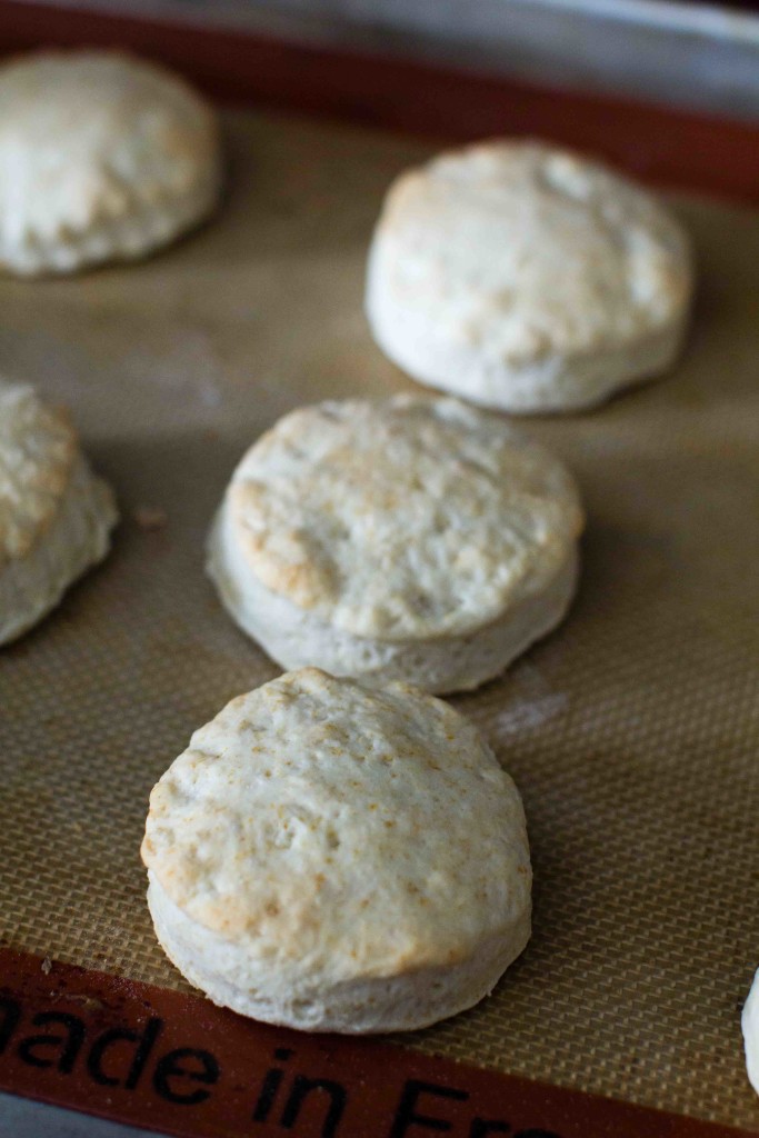 Southern Buttermilk Biscuits on sheet -- bakesinslippers
