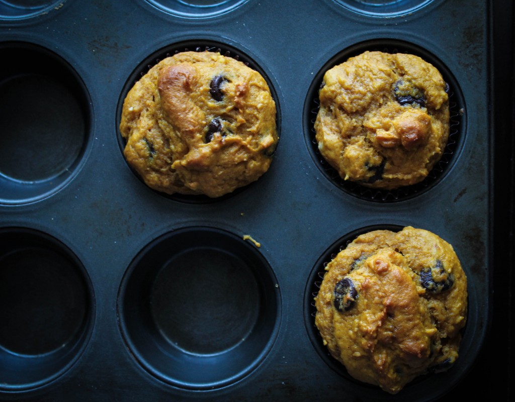 pumpkin choc chip above 3